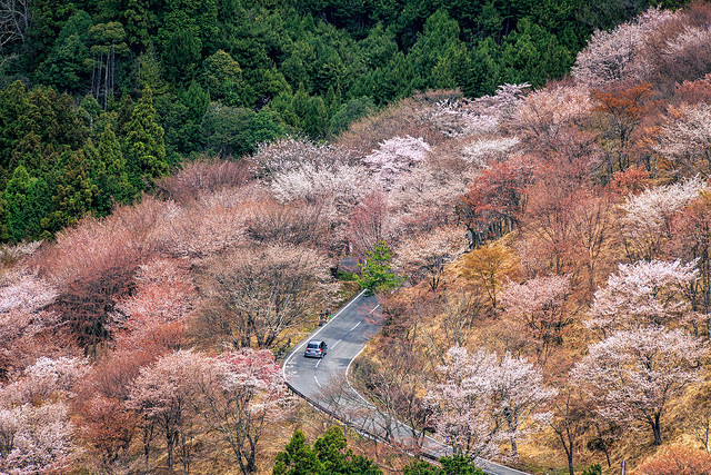 yoshinoyama