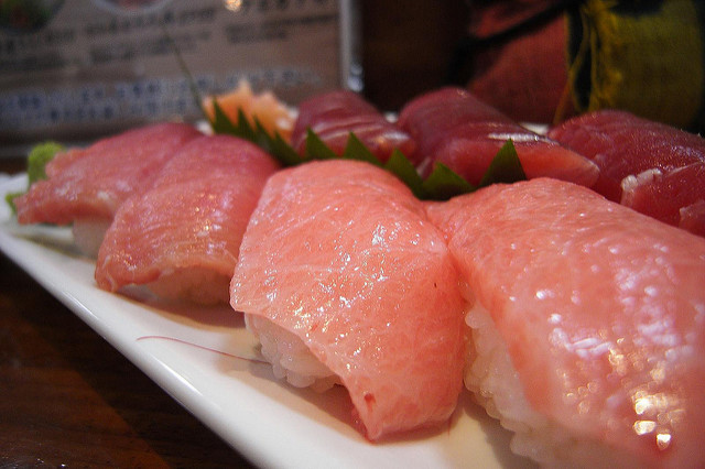 maguro