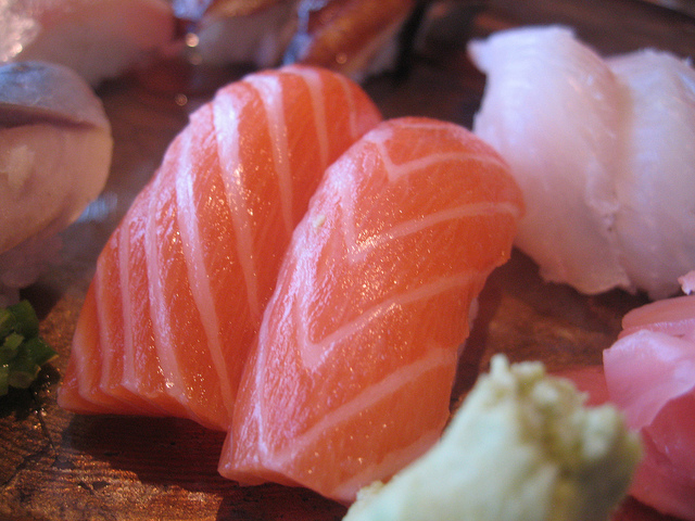 Salmon