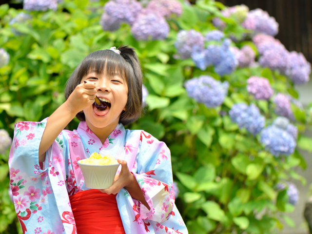 Japan Festival 2016
