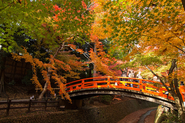 Autumn in Japan