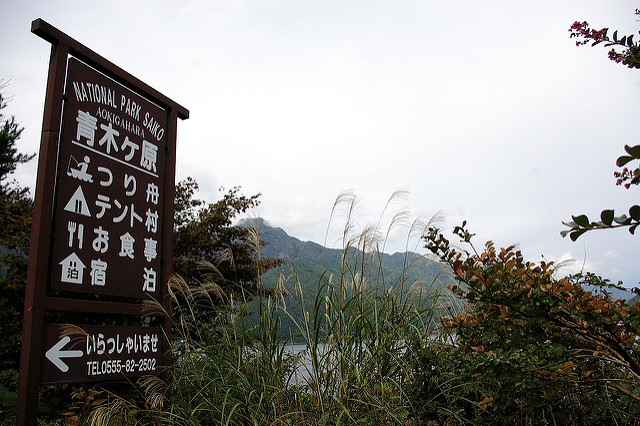 aokigahara